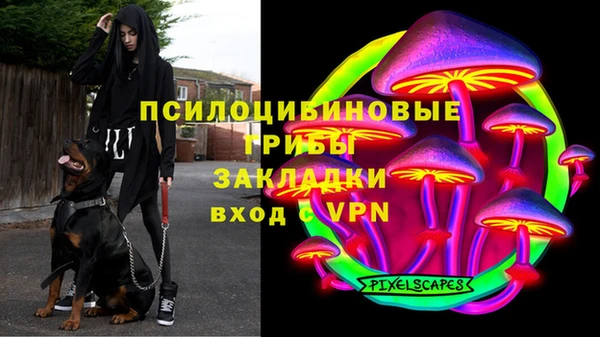 spice Алексин